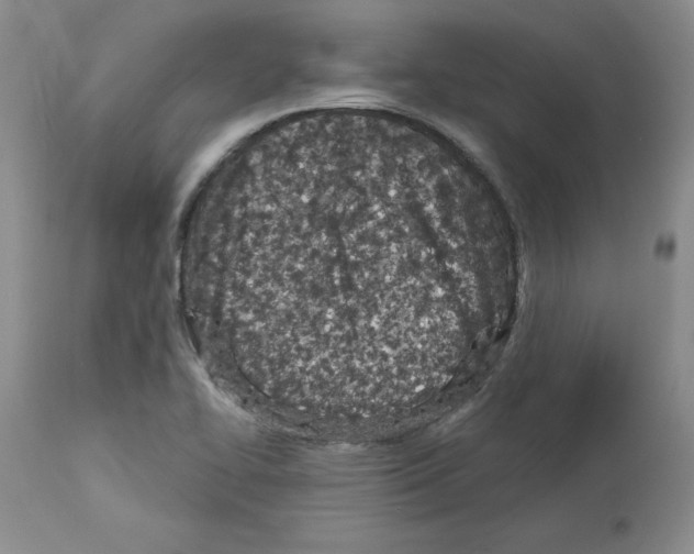 X0000112721414200910011121