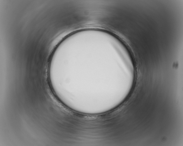 X0000112721415200910011121