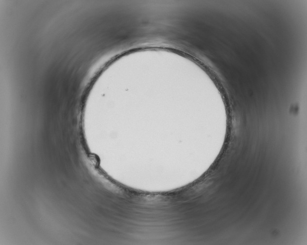 X0000112721416200910011121