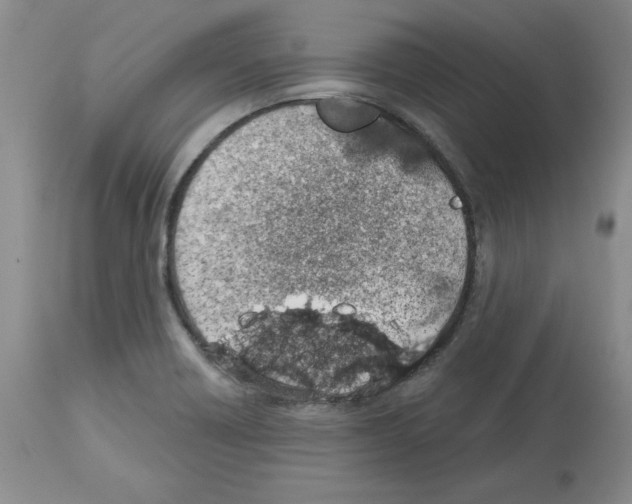 X0000112721418200910011121