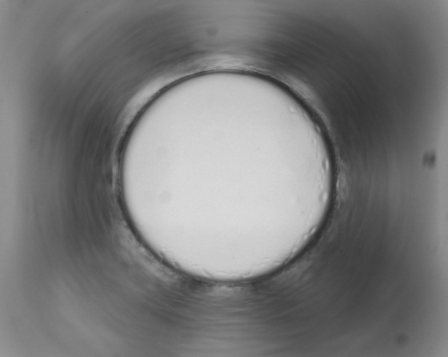 X0000112721419200910011121