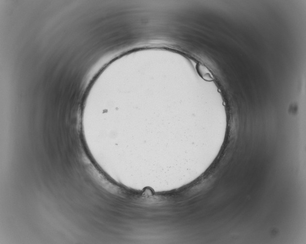 X0000112721420200910011121