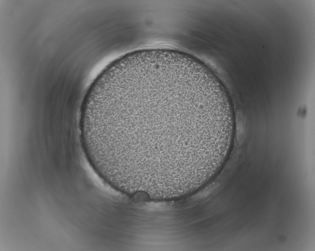 X0000112721422200910011121