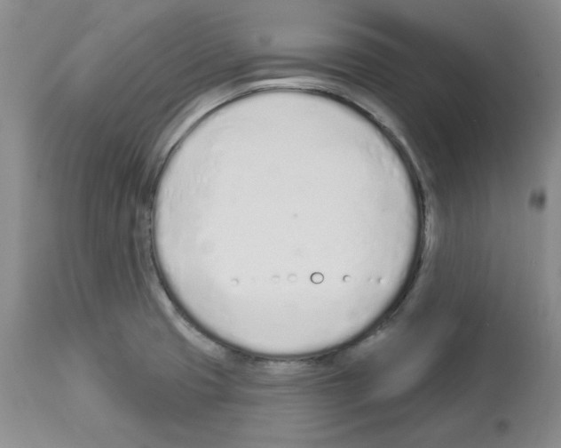 X0000112721425200910011121