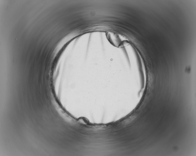 X0000112721426200910011121