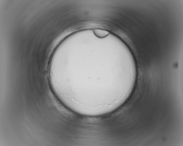 X0000112721427200910011121