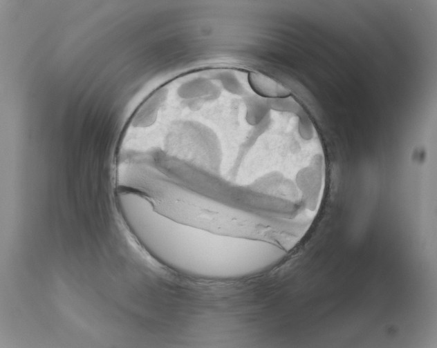 X0000112721428200910011121