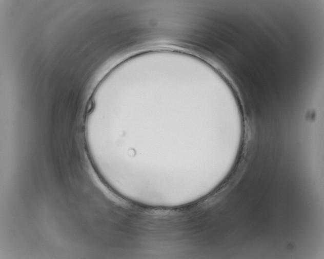 X0000112721429200910011121