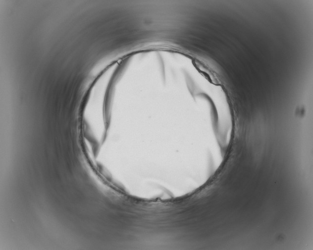 X0000112721430200910011121