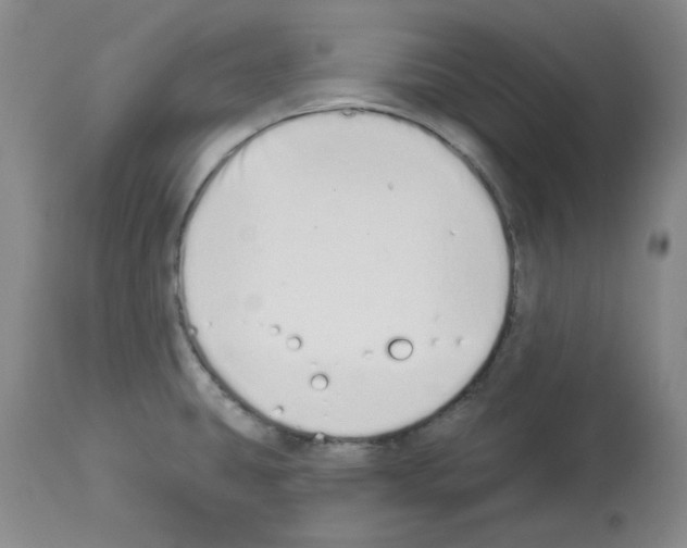 X0000112721431200910011121