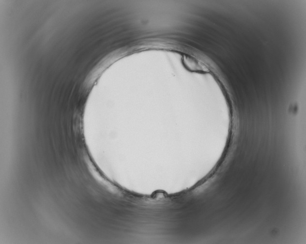 X0000112721433200910011121