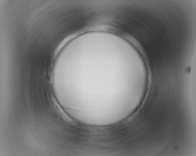 X0000112721436200910011121