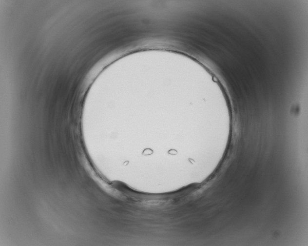 X0000112721437200910011121