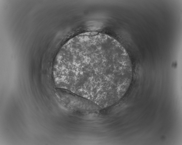 X0000112721441200910011121