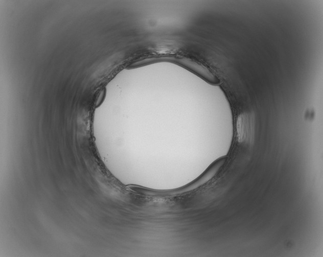 X0000112721443200910011121