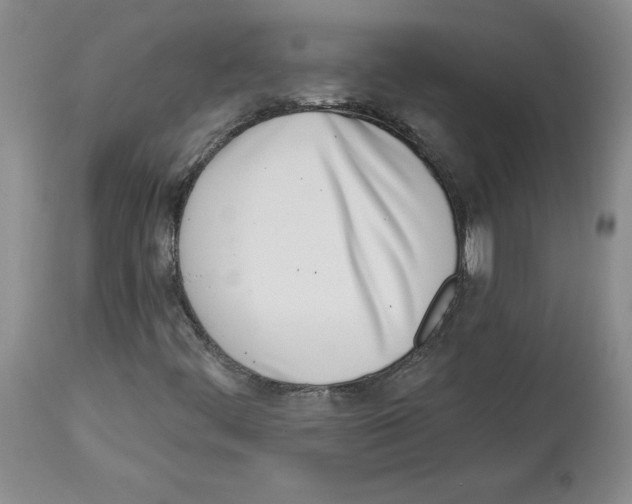 X0000112721444200910011121