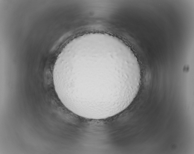 X0000112721446200910011121