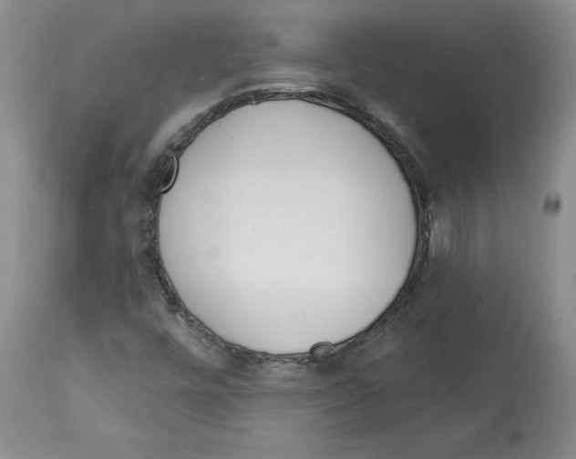 X0000112721448200910011120