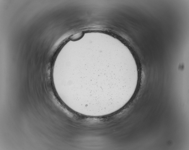 X0000112721450200910011120