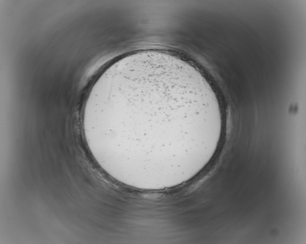 X0000112721453200910011120