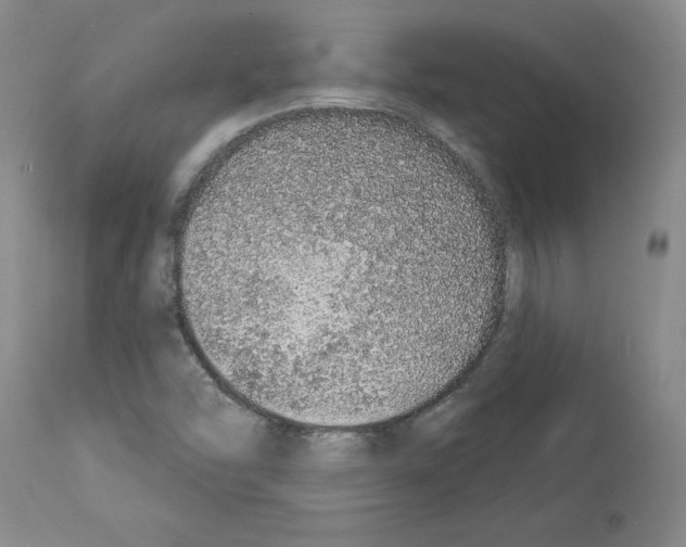 X0000112721454200910011120