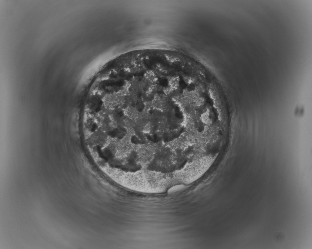 X0000112721455200910011120