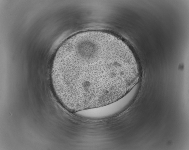 X0000112721459200910011120