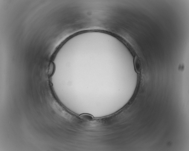 X0000112721460200910011120