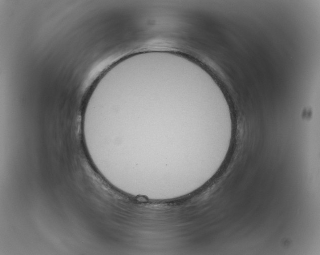 X0000112721461200910011120