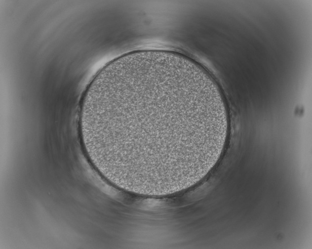 X0000112721463200910011120