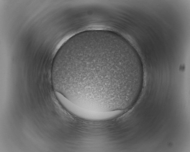 X0000112721465200910011120