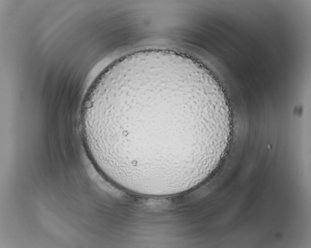 X0000112721466200910011120