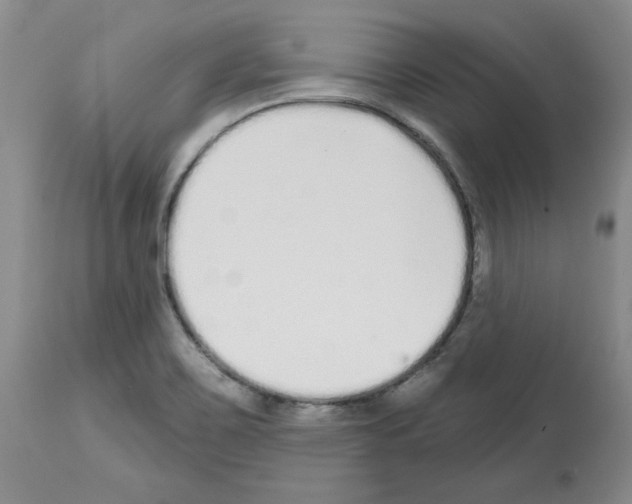 X0000112721467200910011120