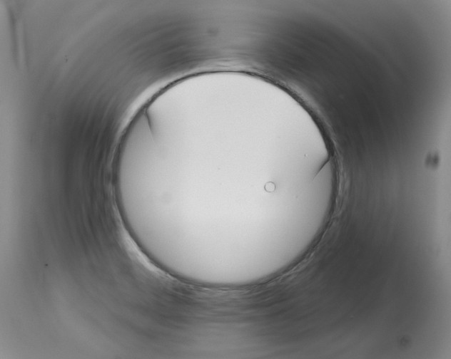 X0000112721468200910011120