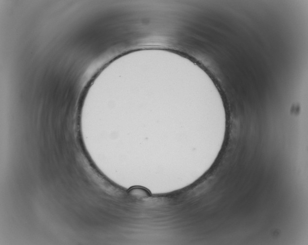 X0000112721469200910011120