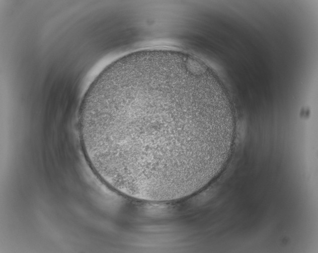 X0000112721470200910011120