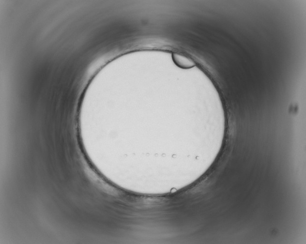 X0000112721471200910011120