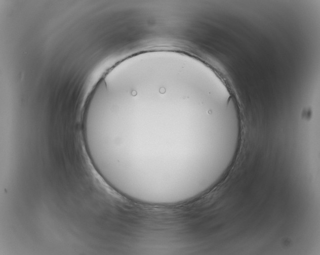 X0000112721472200910011120