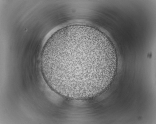 X0000112721474200910011120