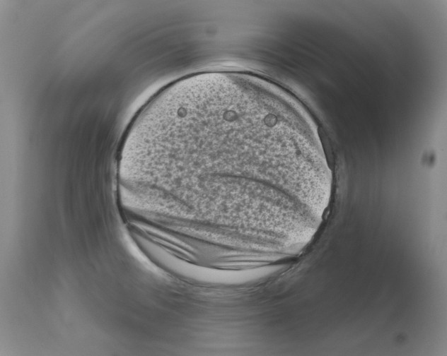 X0000112721476200910011120