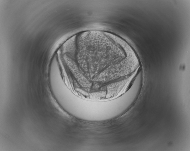 X0000112721477200910011120