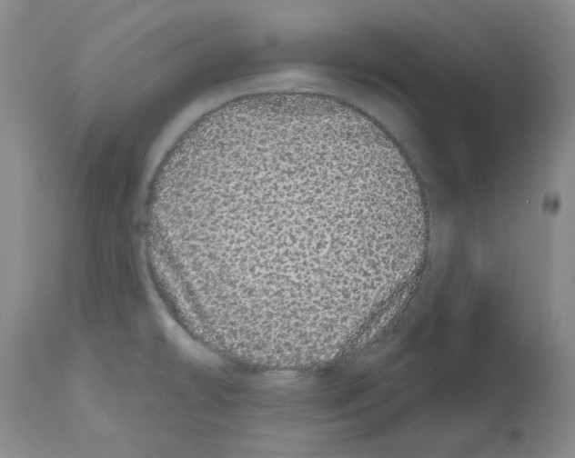 X0000112721478200910011120