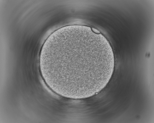 X0000112721479200910011120