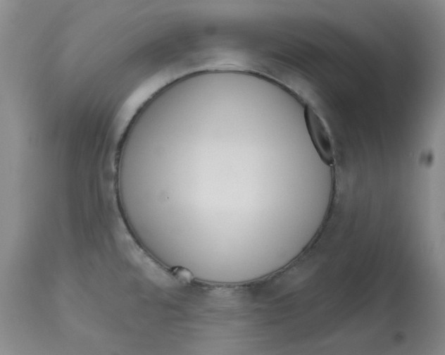 X0000112721480200910011120