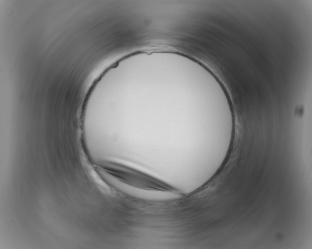 X0000112721485200910011120