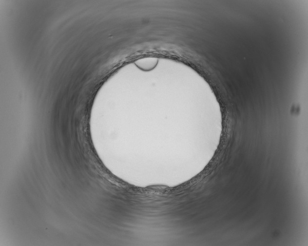 X0000112721489200910011119