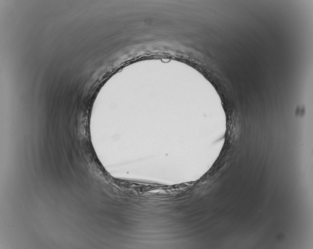 X0000112721490200910011119