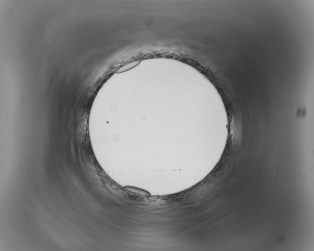 X0000112721492200910011119