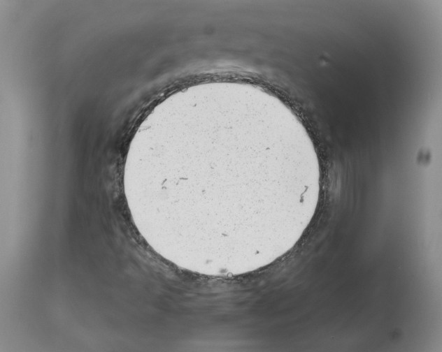 X0000112721493200910011119