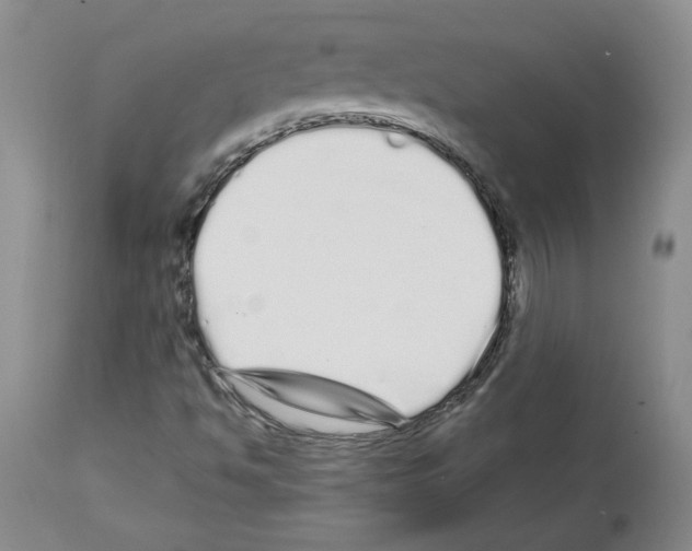 X0000112721494200910011119